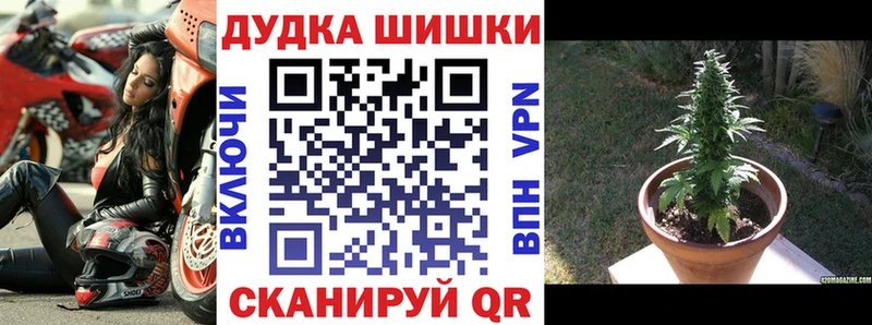 Купить закладку Галлюциногенные грибы  МЕФ  Альфа ПВП  Гашиш  Марихуана  Подпорожье